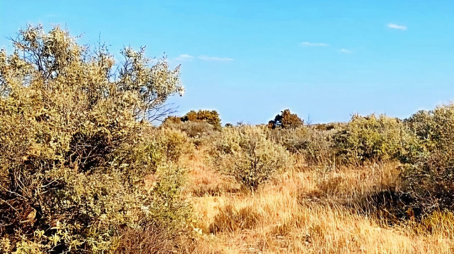 Commercial Property for Sale in Barkly West Northern Cape